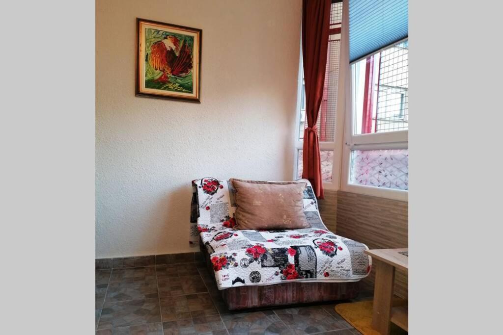 Oasis Felix Apartment 베오그라드 외부 사진